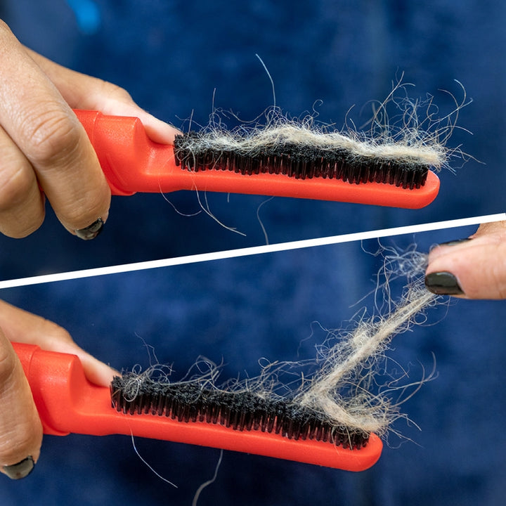 Close-up of hands holding the Lilly Brush - Be Forever Furless Mini, an orange grooming tool with black bristles covered in pet hair. Hair sticks to the top side and is being pulled off from the bottom, set against a blue background.